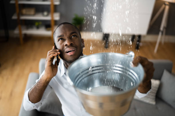 Best Mold removal after water damage  in Harbor Hills, OH