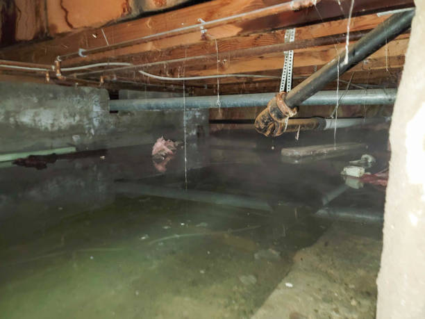 Best Basement water damage restoration  in Harbor Hills, OH