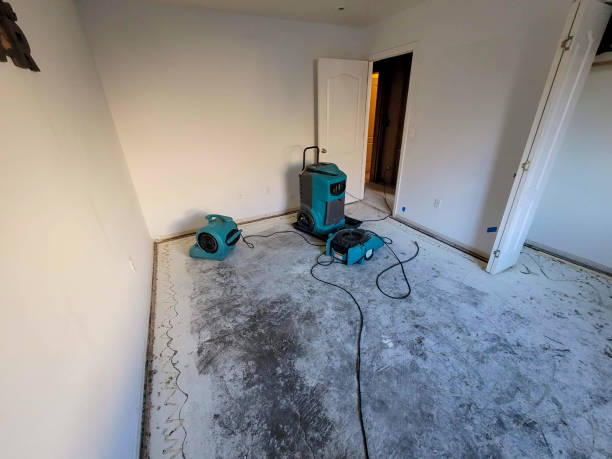 Best 24-hour water damage restoration  in Harbor Hills, OH