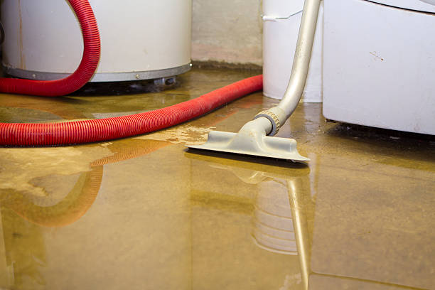 Best Professional water damage repair  in Harbor Hills, OH
