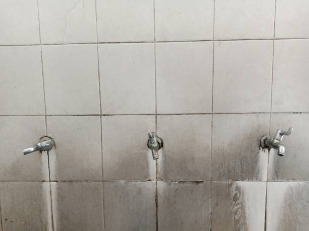Best Water damage restoration cost  in Harbor Hills, OH